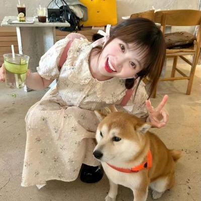 热门剧集